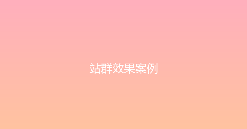 站群效果案例 封面图