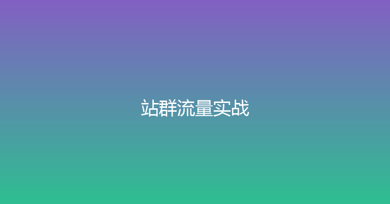 站群流量实战 封面图