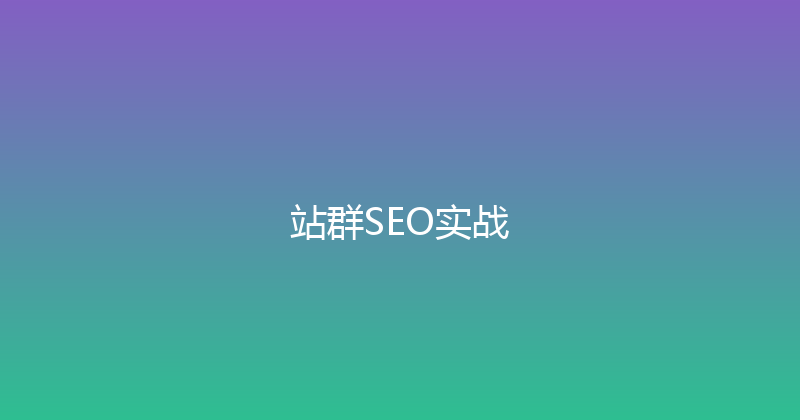 站群SEO实战 封面图